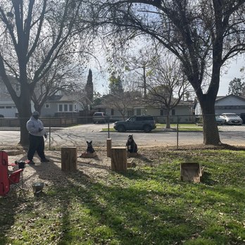 Cali K9 - My dog is able to sit and stay while I walk away - Pet Training Near Me - San Jose, California