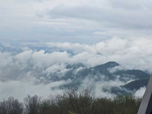 Brasstown Bald by null