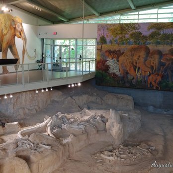 Waco Mammoth National Monument - Museums Near Me - Waco, Texas