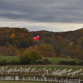 Three Fox Vineyards & Brewery - Wineries Near Me - Delaplane, Virginia Three Fox Vineyards & Brewery - Wineries Near Me - Delaplane, Virginia