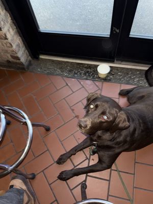 Murphy's Bleachers by null