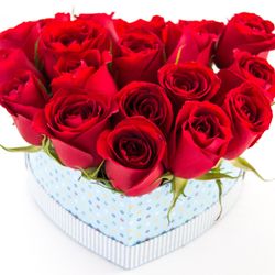 Wintter Floricultura & Ajardinamento