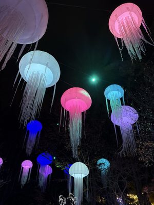 Cincinnati Zoo & Botanical Garden by null