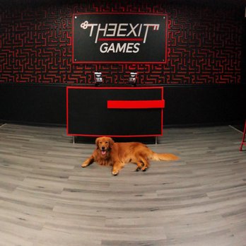 The Exit Games FL - Meet Buddy at The Exit Games FL! Great for families, friends, and corporate team building! - Escape Games Near Me - Clearwater, Florida