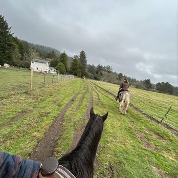 C & M Stables - Horseback Riding Near Me - Florence, Oregon