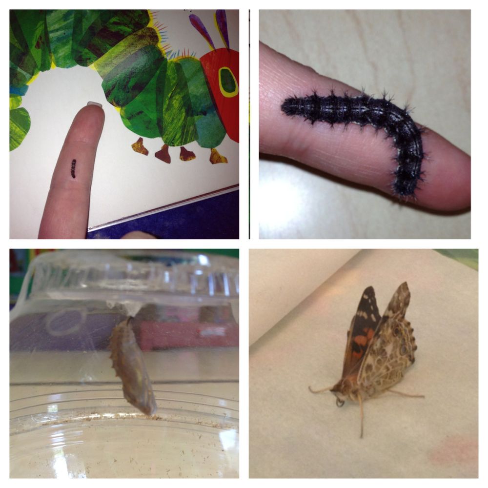 The Learning Place Child Care Center - childcare center in Hackensack, NJ