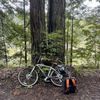Dave's Bike Shop gift card