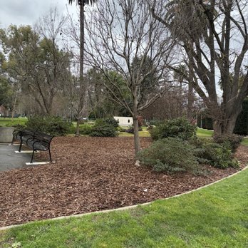 Capitol Park - Bench to rest your weary bones - Parks Near Me - Sacramento, California Capitol Park - Bench to rest your weary bones - Parks Near Me - Sacramento, California