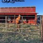 Photo of JL Ranch
