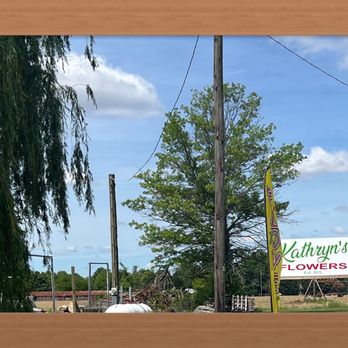 Kathryn's Flowers - Flowers & Gifts Near Me - Seaford, Delaware Kathryn's Flowers - Flowers & Gifts Near Me - Seaford, Delaware