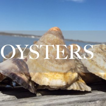 Southold Bay Oysters - Food Tours Near Me - Southold, New York Southold Bay Oysters - Food Tours Near Me - Southold, New York