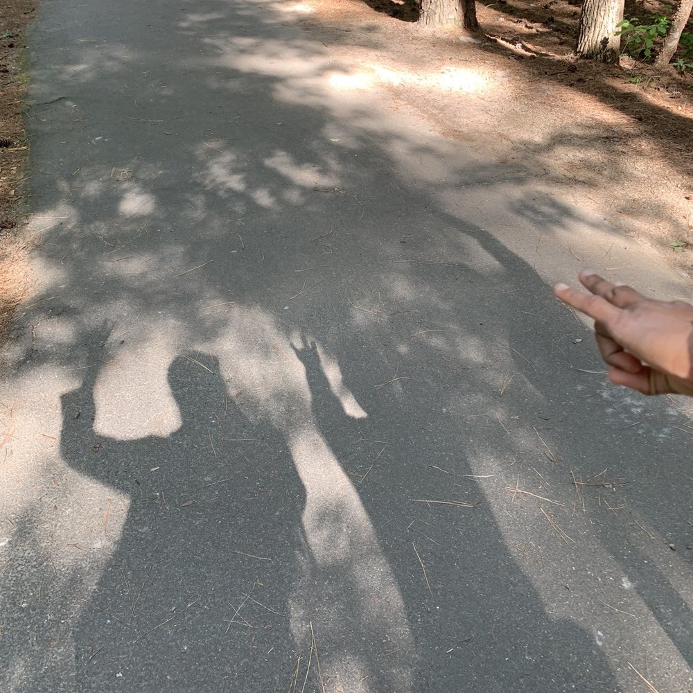 Shadows Shadows