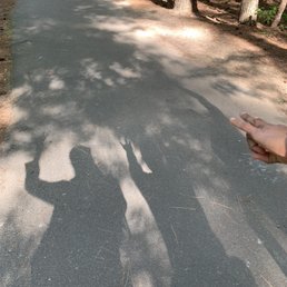 Shadows Shadows