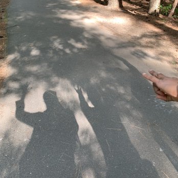 William B Umstead State Park - Shadows - Hiking Near Me - Raleigh, North Carolina William B Umstead State Park - Shadows - Hiking Near Me - Raleigh, North Carolina