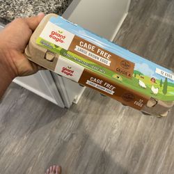 Giant Eagle - Large dozen eggs