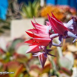 Anthem Blue Cross And Blue Shield Reviews | Read Customer Service