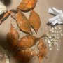 Pit Boys Catering