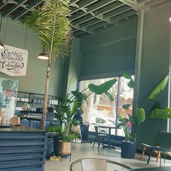 The Boy & The Bear - Coffee & Tea Near Me - Pasadena, California