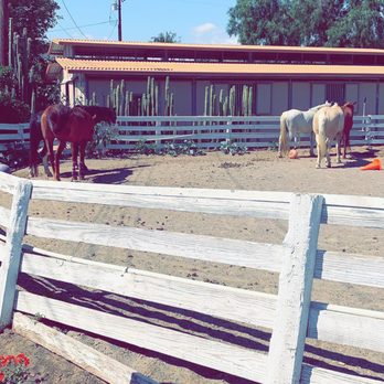 Santiago Children's Center - Beautiful horses - Child Care & Day Care Near Me - Orange, California