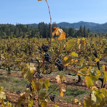 Augustino Estate - Wine Tasting Room Near Me - O'Brien, Oregon Augustino Estate - Wine Tasting Room Near Me - O'Brien, Oregon