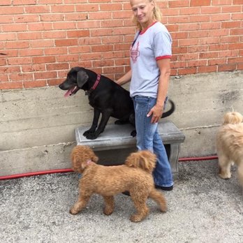 Underdog Kennels - Pet Groomers Near Me - Dallas, Texas Underdog Kennels - Pet Groomers Near Me - Dallas, Texas