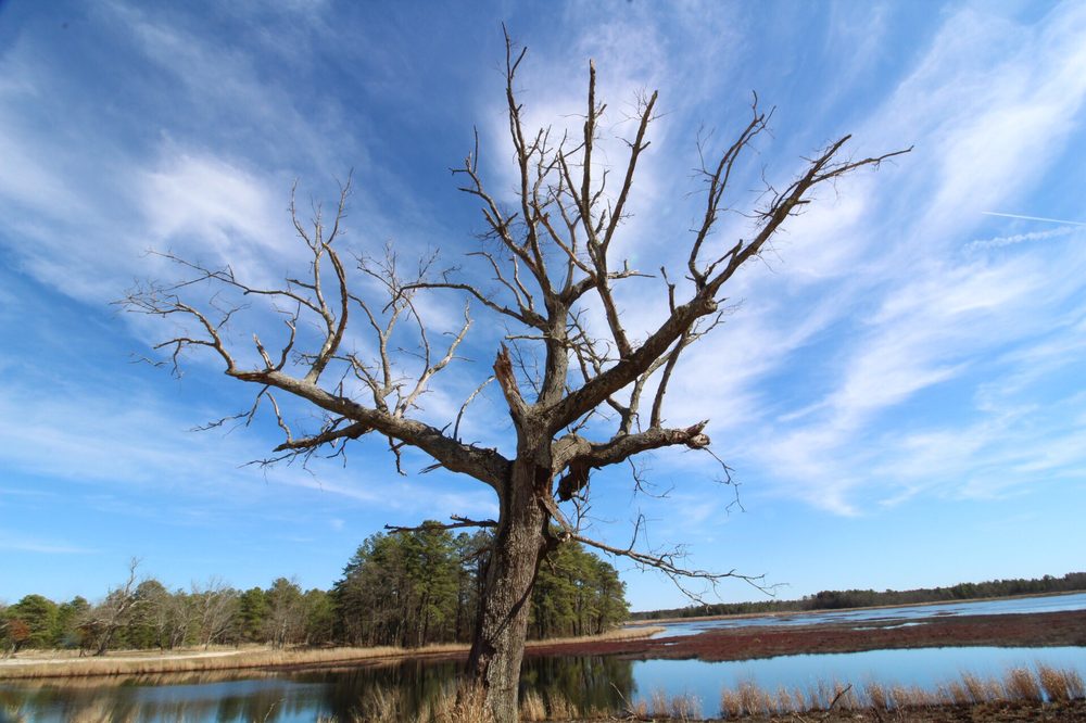 LEBANON STATE FOREST OFFICE Updated March 2024 4 Mile Rd, New