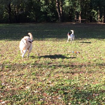 Jaycee Dog Park - big grassy area perfect for fetch! - Dog Parks Near Me - Deerfield, Illinois Jaycee Dog Park - big grassy area perfect for fetch! - Dog Parks Near Me - Deerfield, Illinois