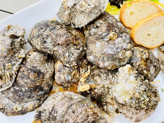 The Fish House by null