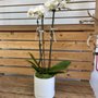 Photo of JC Florist & Gifts