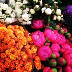 Needham Florist