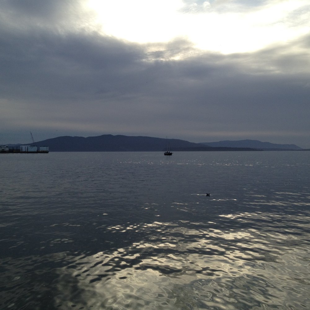 Boulevard Park - Parks Near Me - Bellingham, Washington