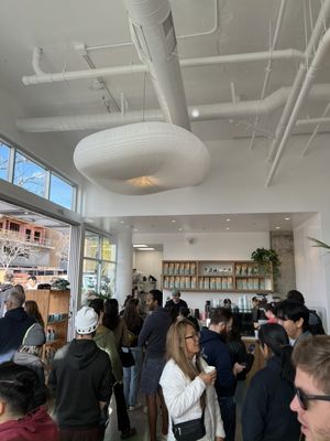 The Little Marionette by null