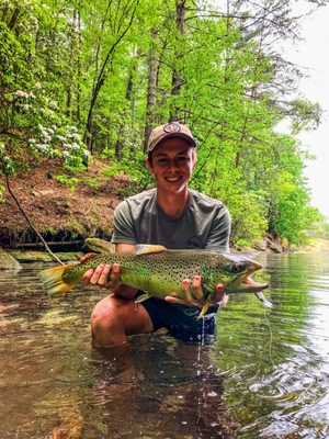 Eclectic Sun Paddlesports by null