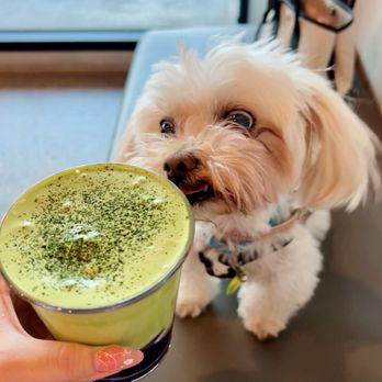 Cravings Coffee & More - Coffee & Tea Near Me - Hacienda Heights, California Cravings Coffee & More - Coffee & Tea Near Me - Hacienda Heights, California