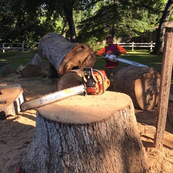 Lopez Tree Service - Larger chain saws for bigger tree trunks - Tree Services Near Me Lopez Tree Service - Larger chain saws for bigger tree trunks - Tree Services Near Me