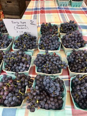 Andersonville Farmers Market by null
