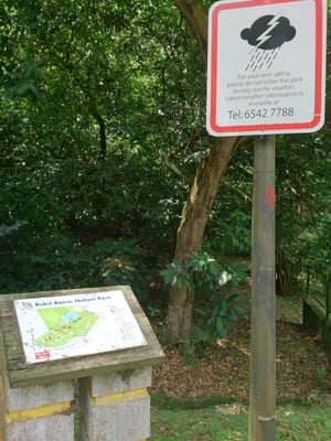 Bukit Batok Nature Park by null