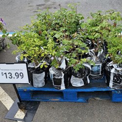 Tractor Supply