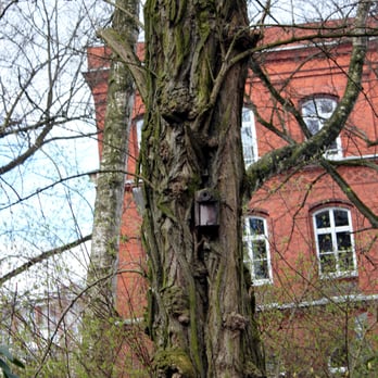Eppendorfer Park - Parks Near Me - Hamburg, HH