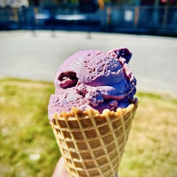 Mainely Custard - Ice Cream & Frozen Yogurt Near Me - Freeport, Maine Mainely Custard - Ice Cream & Frozen Yogurt Near Me - Freeport, Maine