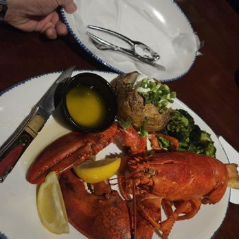 Red Lobster - Excellent succulent Maine Lobster - Seafood Near Me - Canoga Park, California Red Lobster - Excellent succulent Maine Lobster - Seafood Near Me - Canoga Park, California