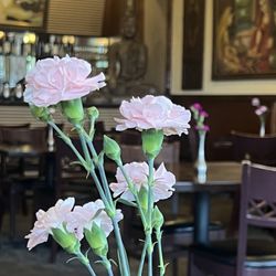 Karma Indian Cuisine