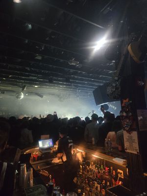 The Stone Pony by null