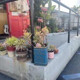 Gorgeous plants in vintage tins and pottery create a cheerful entrance.