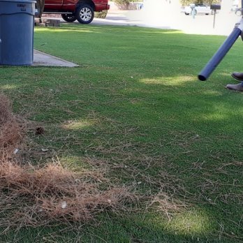 Desert Lawn Care - blow the big stuff, power brush the rest! - Lawn Services Near Me - Anthony, New Mexico Desert Lawn Care - blow the big stuff, power brush the rest! - Lawn Services Near Me - Anthony, New Mexico