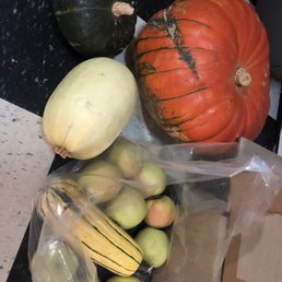 My haul: Cinderella pumpkin, spaghetti squash, delicata squash, kobucha squash, Fuji/Braeburn apples