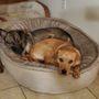 McCurdy Animal Hospital