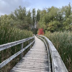 Toogood Pond