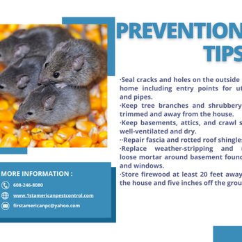 1st American Pest Control - Rodent prevention - Pest Control Near Me - Madison, Wisconsin