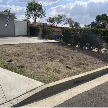 ITH Landscape - Before - Landscaping Near Me
